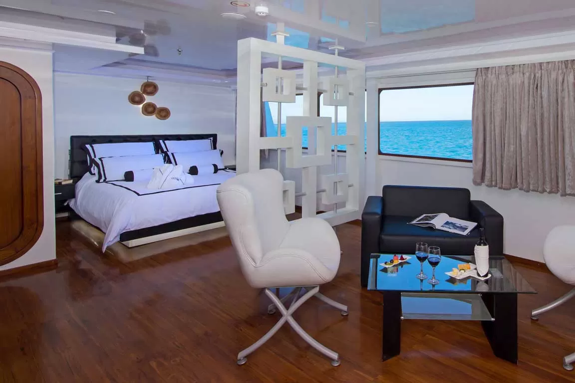 suite5 Petrel Catamaran