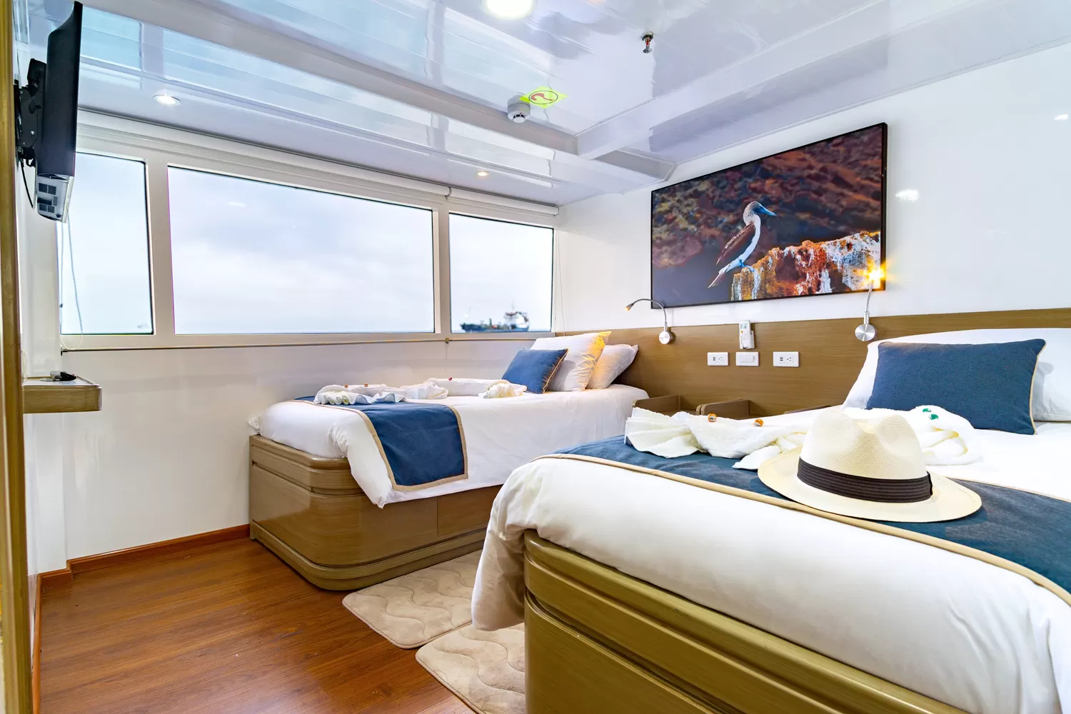 Calipso Yacht