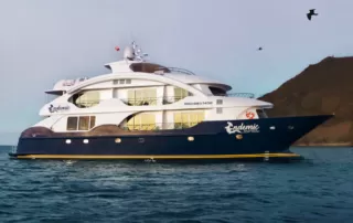 ENDEMIC 2 Endemic Yacht