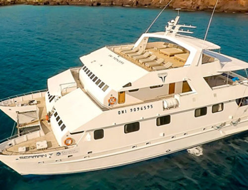 Seaman Catamaran Liveaboard