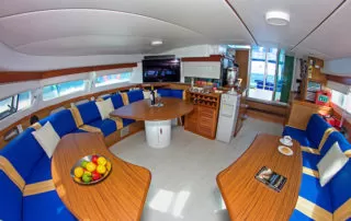 43 Nemo II Catamaran