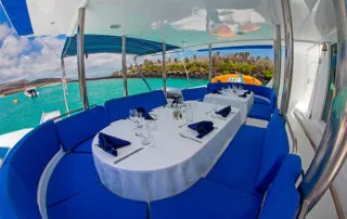 45 Nemo II Catamaran