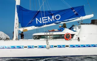 51 Nemo II Catamaran