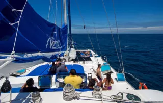 54 Nemo II Catamaran