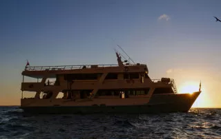 Aqua-18 Aqua Yacht