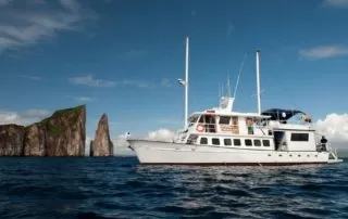 Golondrina Yacht 