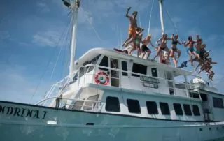 Golondrina Yacht 