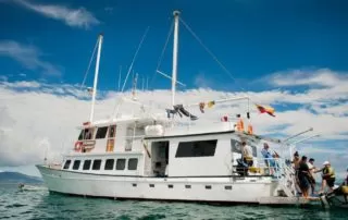 Golondrina Yacht 