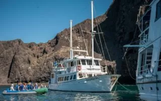 Golondrina Yacht 
