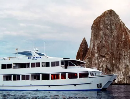 Millennium Yacht Galapagos Last Minute