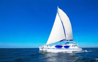 NEMO3 18 Nemo III Catamaran