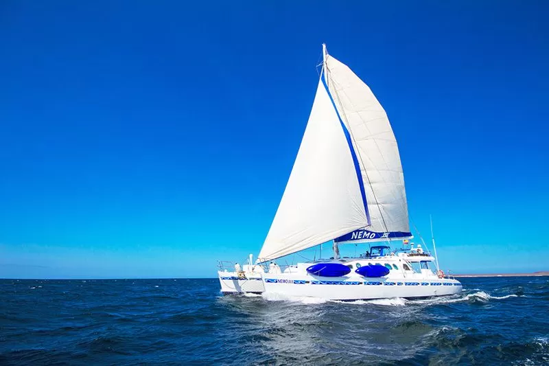 Nemo III Catamaran