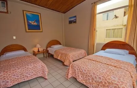Palmeras Hotel