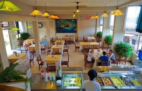 Palmeras Hotel