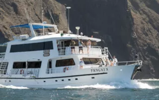 Fragata Yacht