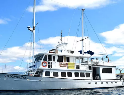 Golondrina Yacht Galapagos
