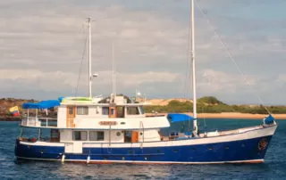 samba-home Samba Yacht