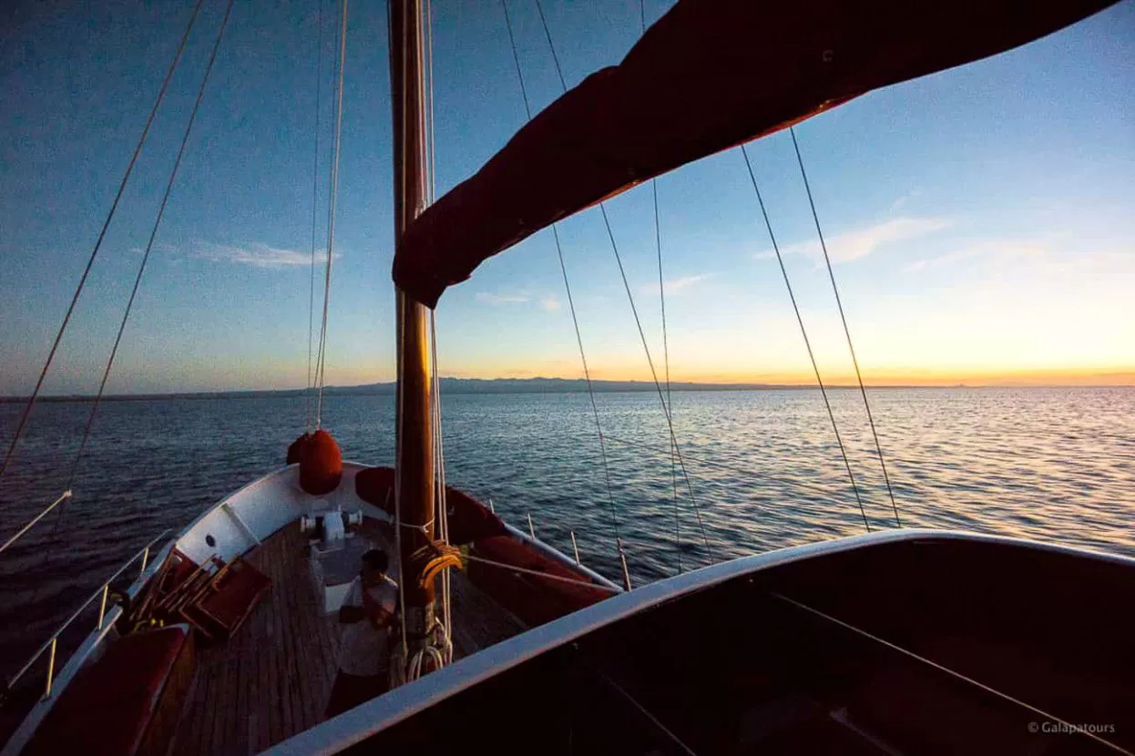 Samba Yacht
