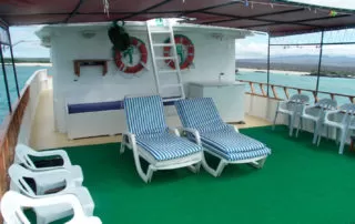 Darwin Yacht Deck Plans