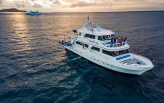 Aida Maria nuevo 01