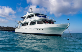 Aida Maria nuevo 02