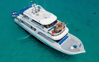 Aida Maria nuevo 17