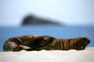 galapagos tour 4 dias