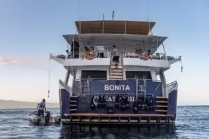 Bonita Yacht Galapagos photos