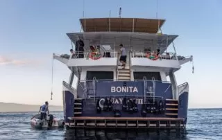 Bonita Yacht Galapagos photos