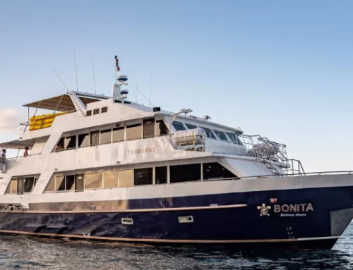 Bonita Yacht Galapagos