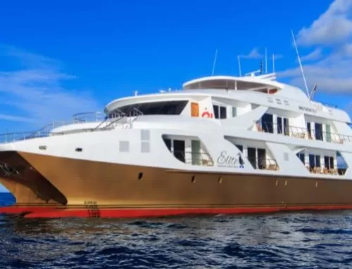 Elite Galapagos Luxury Cruise
