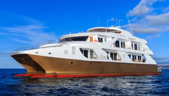 Elite Catamaran Galapagos Luxury Class