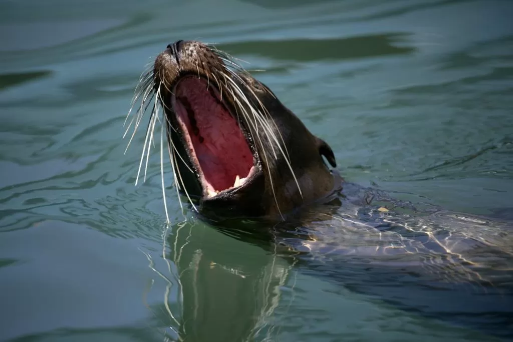 Galapagos tours for seniors 2022