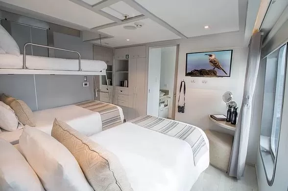 Origin Theory Yacht Galapagos Cabin Triple 2