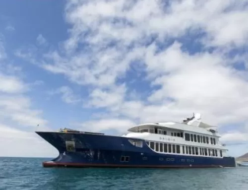 Origin Theory Yacht