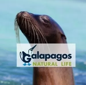 Last Minute Galapagos