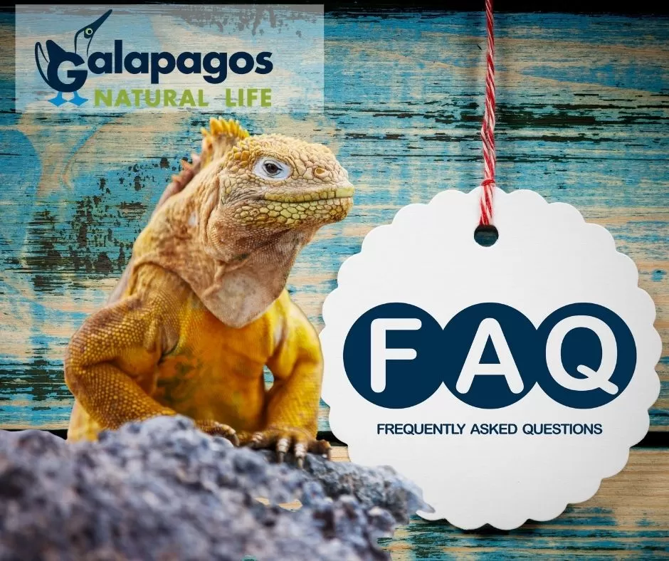 FAQ galapagos news