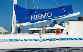 NEMO I SOCIAL AREAS 5 (1) NEMO I SOCIAL AREAS 5 (1)