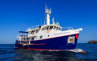 cachalote explorer galapagos