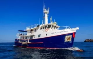 cachalote-explorer-galapagos cachalote explorer galapagos