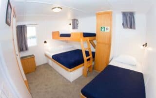 cachalote explorer lower double