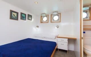 cachalote explorer lower single