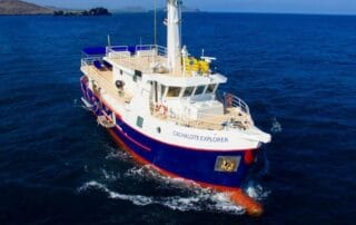 cachalote explorer yacht galapagos