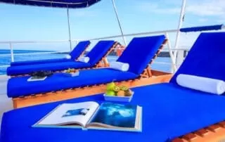 cachalote-explorer-yacht-sundeck cachalote explorer yacht sundeck