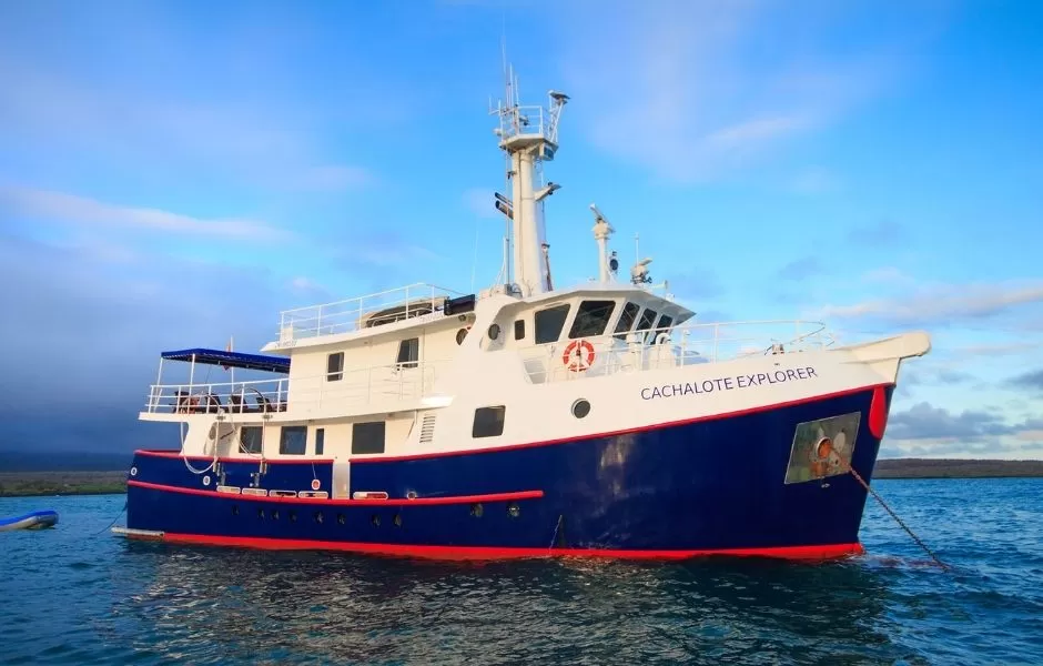 cachalote explorer yacht