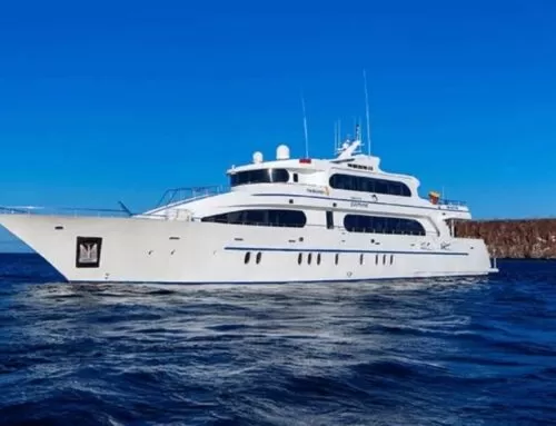 Grand Daphne Cruise