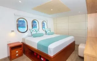 grand daphne standard cabin
