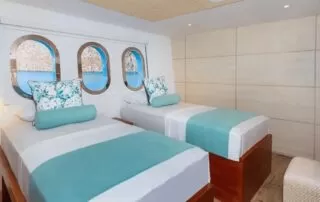 grand daphne twin beds standard cabin
