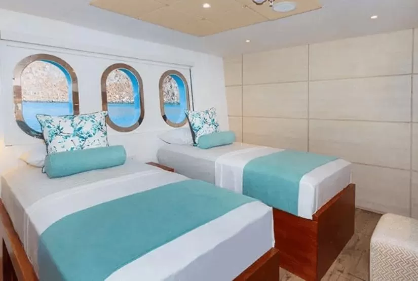 grand daphne twin beds standard cabin