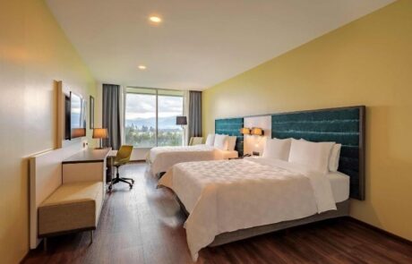 Holiday Inn Hotel Twin Doble Bed